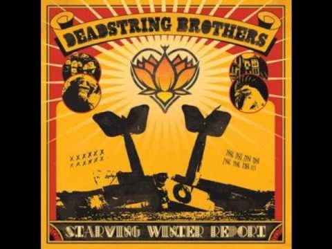 Starving Winter Report